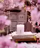 Rituals - The Ritual of Sakura Scented Candle 