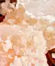 Rituals - The Ritual of Ayurveda Body Scrub 