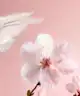 Rituals - The Ritual of Sakura Natural Deodorant