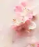 Rituals - The Ritual of Sakura Trial Set
