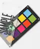 Sample Beauty - The 10 Pan Magnetic Palette