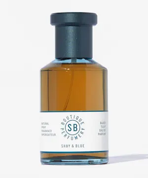 shayblue Black Tulip Fragrance Eau de Parfum