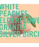 Shay & Blue - White Peaches Fragrance