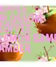 Shay & Blue - Melrose Apple Blossom Fragrance
