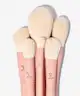 Sigma Beauty - Sigma X Christen Dominique Brush Set