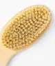 Skin Gym - Body Brush