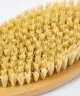 Skin Gym - Body Brush