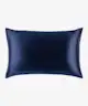 Slip - Pure Silk Queen Pillowcase				