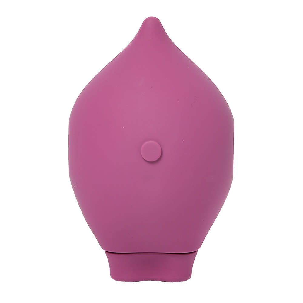 The Poet Suction Toy