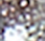 SODA0016F