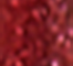 SODA0019F