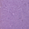 SODA0026F