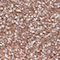 SODA0047F