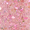 SODA0050F