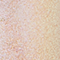 SODA0062F