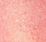 SODA0064F