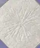Soda - Soda x Frozen II Pressed Highlighter #showyourself