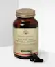 Solgar - Brain Works with Full Spectrum Curcumin & BacoMind Capsules