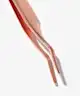 SOSU Cosmetics - Precision Lash Applicator