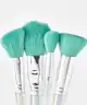 Spectrum Collections - Oceana 4 Piece Face Brush Set