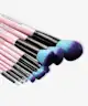 Spectrum Collections - Millennial Pink 10 Piece Essential Set