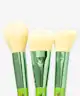 Spectrum Collections - Tinker Bell 6 Piece 'Little Things' Brush Set