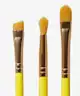 Spectrum Collections - Winnie the Pooh 8 Piece Brush Set