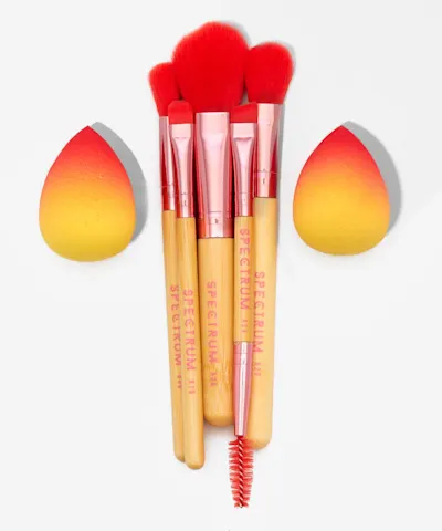 Spectrum Collections - Perfect Match Brush & Sponge Set