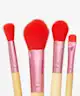 Spectrum Collections - Perfect Match Brush & Sponge Set