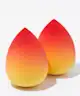 Spectrum Collections - Perfect Match Brush & Sponge Set