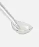 Spotlight Oral Care - Water Flosser Replacement Tips