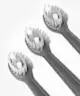 Spotlight Oral Care - Sonic Toothbrush
