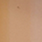 STIL1358F