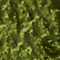 STIL1442F