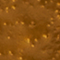 STIL1447F