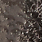 STIL1449F