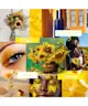 Floral Street -  Sunflower Pop 50ml + 10ml  Fragrance Gift Set 
