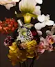 Floral Street - Wild Vanilla Orchid 50ml +10ml Fragrance Gift Set
