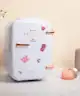 STYLIDEAS - STYLPRO 4 Litre Beauty Fridge