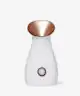 STYLIDEAS - STYLPRO 4 In 1 Facial Steamer