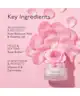 By Terry - Baume de Rose Pot
