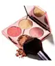 By Terry  - Brightening CC Palette Sunny Flash 