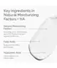 The Ordinary - Natural Moisturizing Factors + HA  