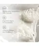 The Ordinary - Glycolic Acid 7% Toning Solution