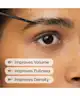 The Ordinary - Multi-Peptide Lash and Brow Serum