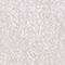 TOOF0160F