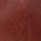 TOOF0445F