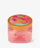 Tree Hut - SHEA SUGAR SCRUB
