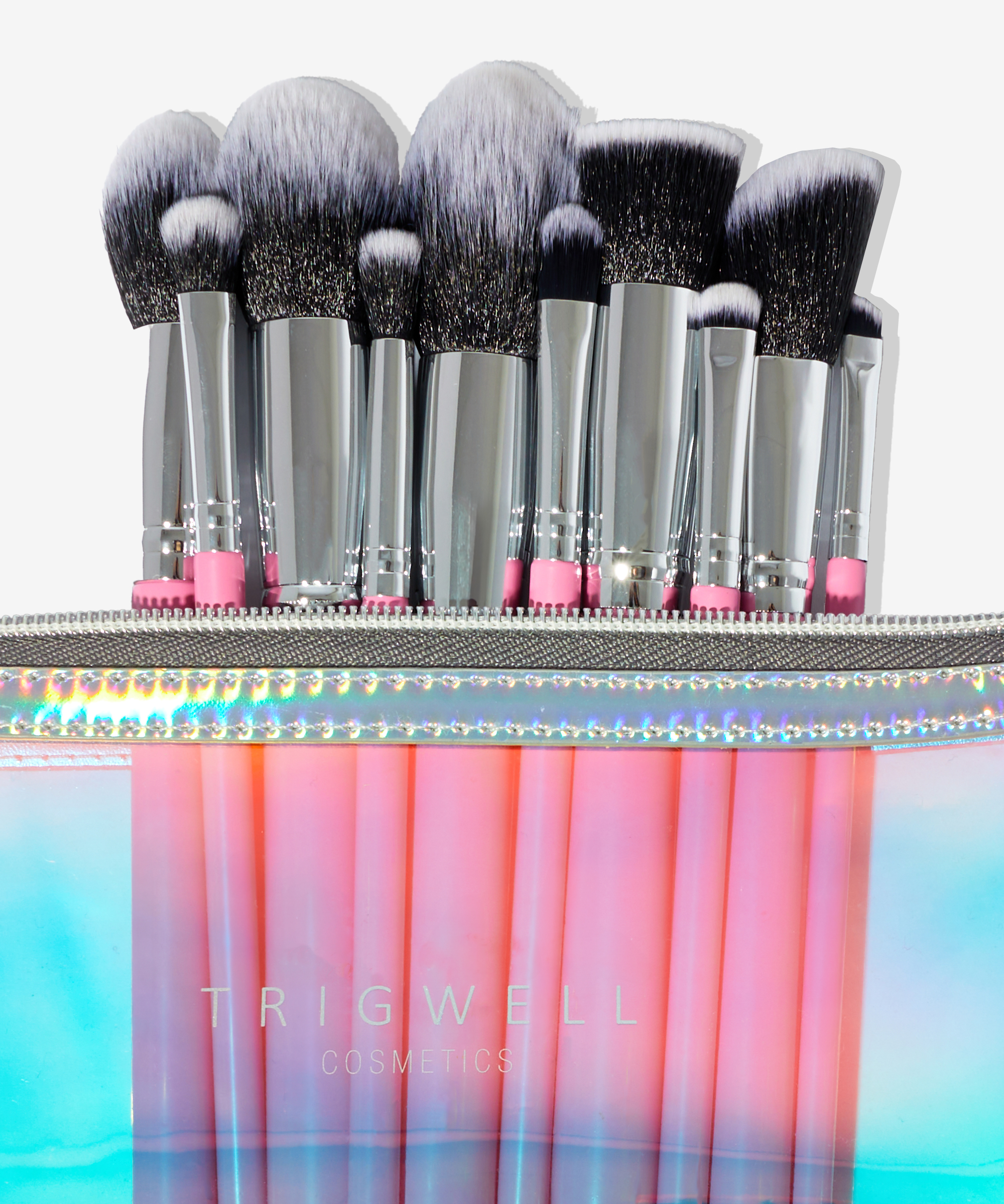 10 Piece Brush Kit