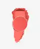 Trigwell Cosmetics - Powder Blush
